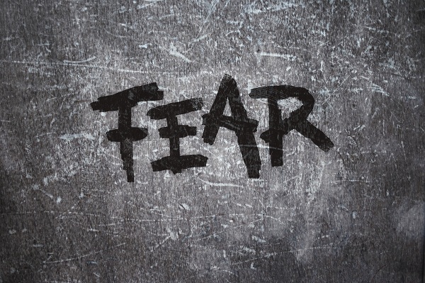 Please Do Not Feed The Fear - Valhalla Counselling